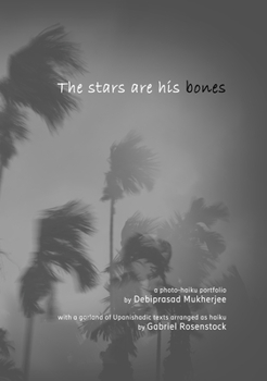 Hardcover The stars are his bones: an atmospheric photo-haiku monograph with Upanishadic extracts Book