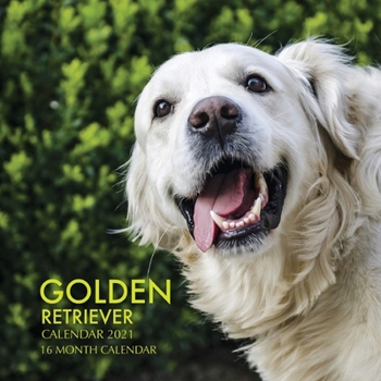 Paperback Golden Retriever Calendar 2021: 16 Month Calendar Book