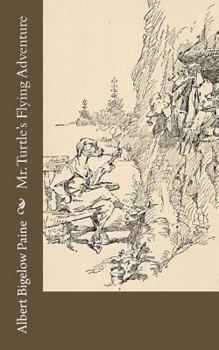 Paperback Mr. Turtle's Flying Adventure Book