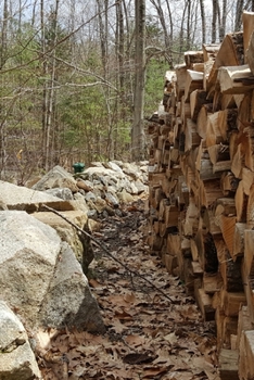 2020 Daily Planner Late Fall Woodpile Stone Wall Forest Photo 388 Pages: 2020 Planners Calendars Organizers Datebooks Appointment Books Agendas