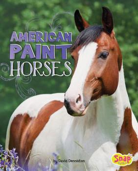 Paperback American Paint Horses Book