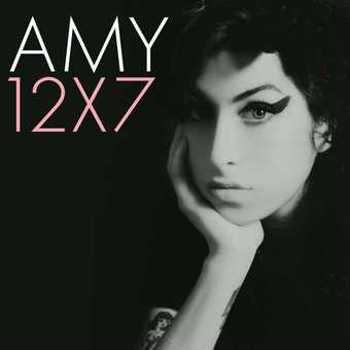 Vinyl 12x7: The Singles Collection (12 7" Singles Box Se Book