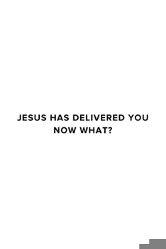 Paperback Jesus Has Delivered You (now what?) Book