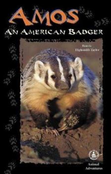 Library Binding Amos: An American Badger Book