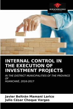 Paperback Internal Control in the Execution of Investment Projects Book