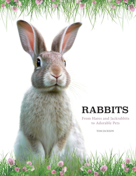 Hardcover Rabbits: From Hares and Jackrabbits to Adorable Pets Book