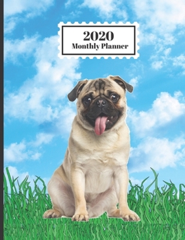 2020 Monthly Planner: Pug Dog Breed Sitting In Grass Cute Design Cover 1 Year Planner Appointment Calendar Organizer And Journal For Writing