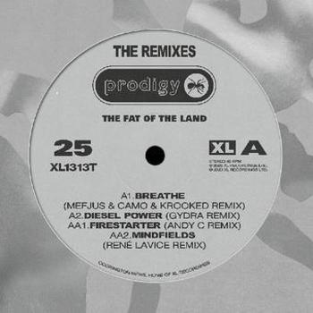 Vinyl The Fat Of The Land 25 Th Anniversary   R Book