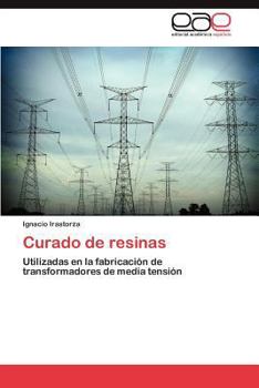Paperback Curado de Resinas [Spanish] Book