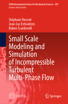Hardcover Small Scale Modeling and Simulation of Incompressible Turbulent Multi-Phase Flow Book