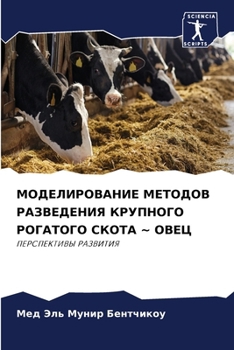 Paperback МОДЕЛИРОВАНИЕ МЕТОДОВ Р& [Russian] Book