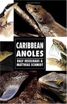 Paperback Caribbean Anoles Book