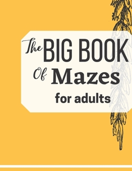 Paperback The Big Book Of Mazes for adults Book