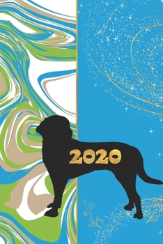 2020: 2020 Sunday Start Monthly Calendar and Organizer | Beagle Gift for Women