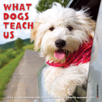 Calendar What Dogs Teach Us 2022 Mini Wall Calendar Book