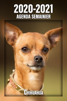 2020-2021 Agenda Semainier Chihuahua: A5, 221 Pages | 24 Mois | Planificateur & Organiseur | Calendrier | Une double page par semaine | Journal | Agenda | En Francais (French Edition)