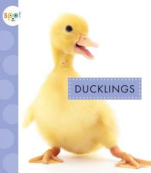 Ducklings - Book  of the Spot Baby Farm Animals