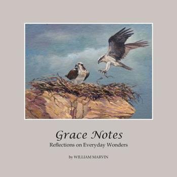 Paperback Grace Notes: Reflections on Everyday Wonders Book