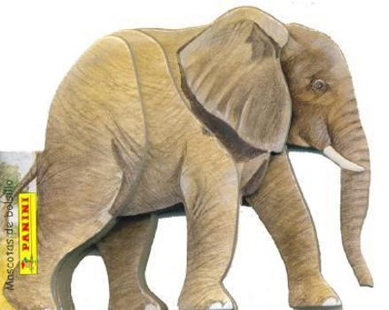 Hardcover Elefante (Spanish Edition) [Spanish] Book
