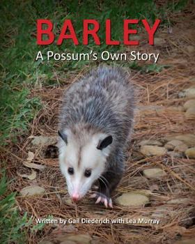 Paperback Barley, a Possum's Own Story Book