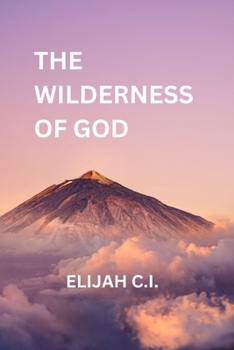 Paperback The Wilderness of God Book