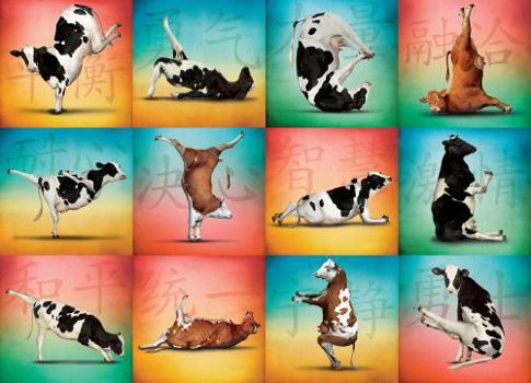Misc. Supplies Cow Yoga 1000-Piece Puzzle Book