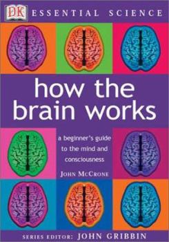Paperback How the Brain Works Book