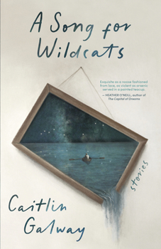 Paperback A Song for Wildcats: Stories Book
