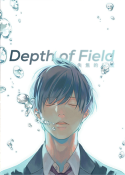 Paperback Depth of Field Vol. 1 Book