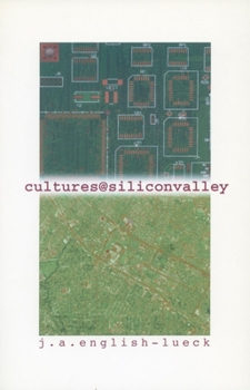 Paperback Cultures@siliconvalley Book