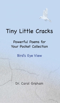 Hardcover Tiny Little Cracks: Powerful Poems for Your Pocket Collection: Bird's Eye View Book