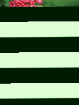 Hardcover The Complete Guide to Compact Trees and Shrubs Book