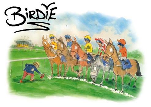 Hardcover Birdie: The Best of Darren Bird Book