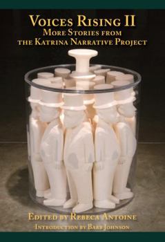 Paperback Voices Rising II: More Stories from the Katrina Narrative Project Book