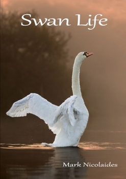 Paperback Swan Life Book