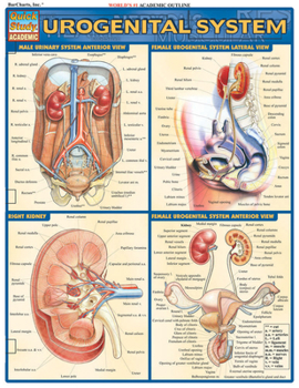 Wall Chart Urogenital System Book