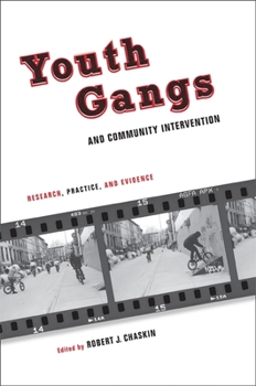 Paperback Youth Gangs and Community Intervention: Research, Practice, and Evidence Book