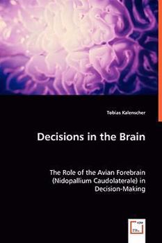 Paperback Decisions in the Brain Book