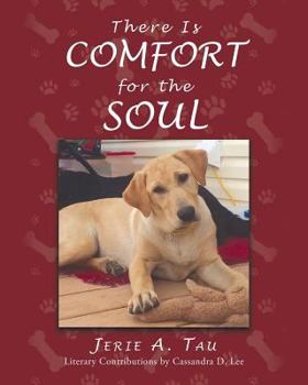 Paperback There Is Comfort for the Soul Book