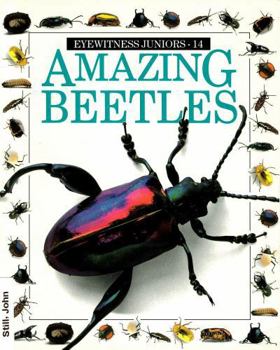 Hardcover AMAZING BEETLES #14 (Eyewitness Juniors) Book
