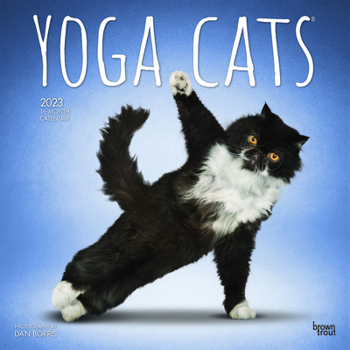 Calendar Yoga Cats 2023 Square Book