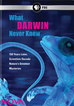 DVD Nova: What Darwin Never Knew Book