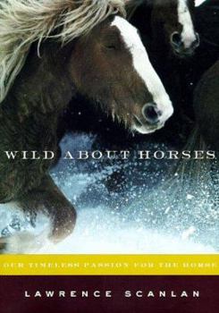 Hardcover Wild about Horses: Our Timeless Passion for the Horse Book