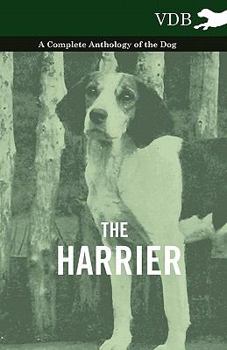 Paperback The Harrier - A Complete Anthology of the Dog Book