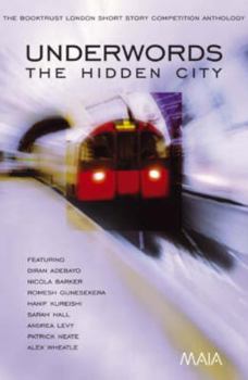 Paperback Underwords: The Hidden City Book