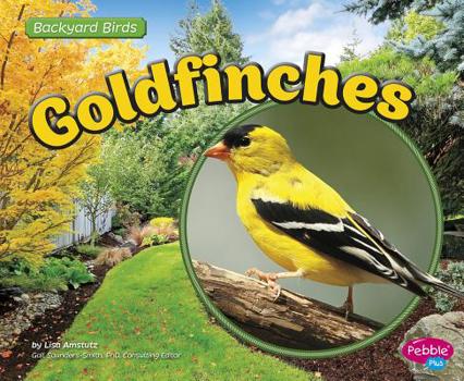 Hardcover Goldfinches Book
