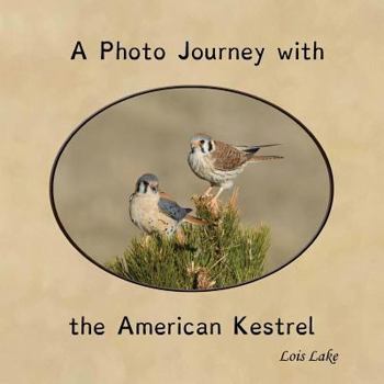 Paperback A Photo Journey with the American Kestrel Book