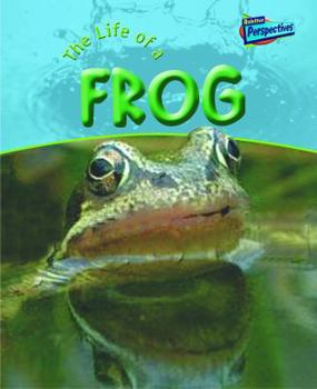 Paperback The Life of a Frog Book