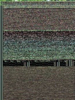 Paperback Rainbows and Lollipops: A Bridge to Resilience Book