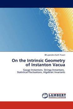 Paperback On the Intrinsic Geometry of Instanton Vacua Book